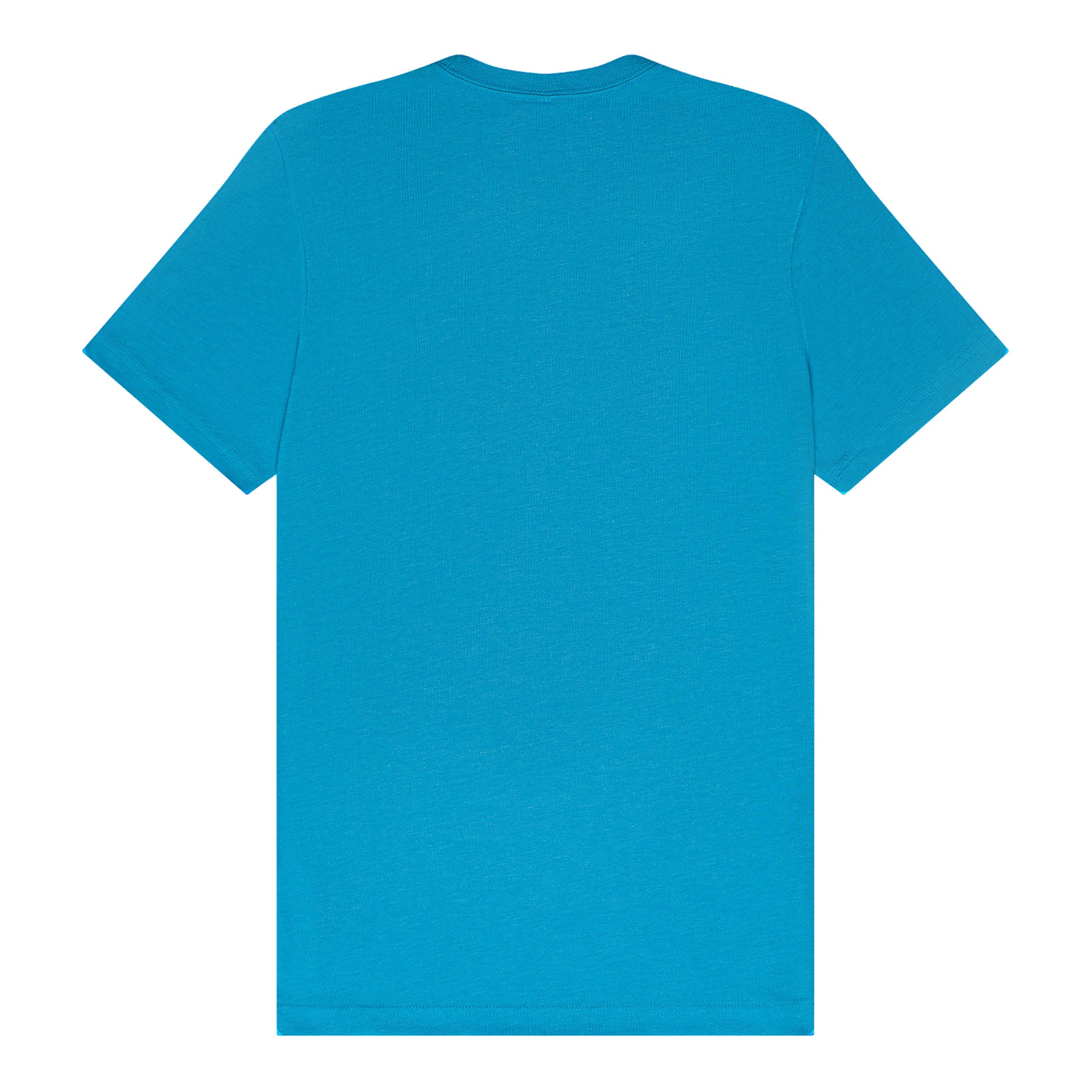 Bella + Canvas 3001 custom short sleeve t-shirt in aqua, back view