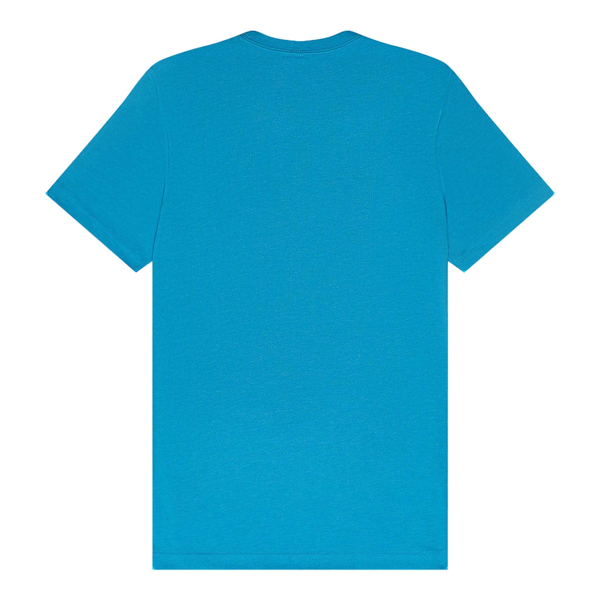 Bella + Canvas 3001 custom short sleeve t-shirt in aqua, back view