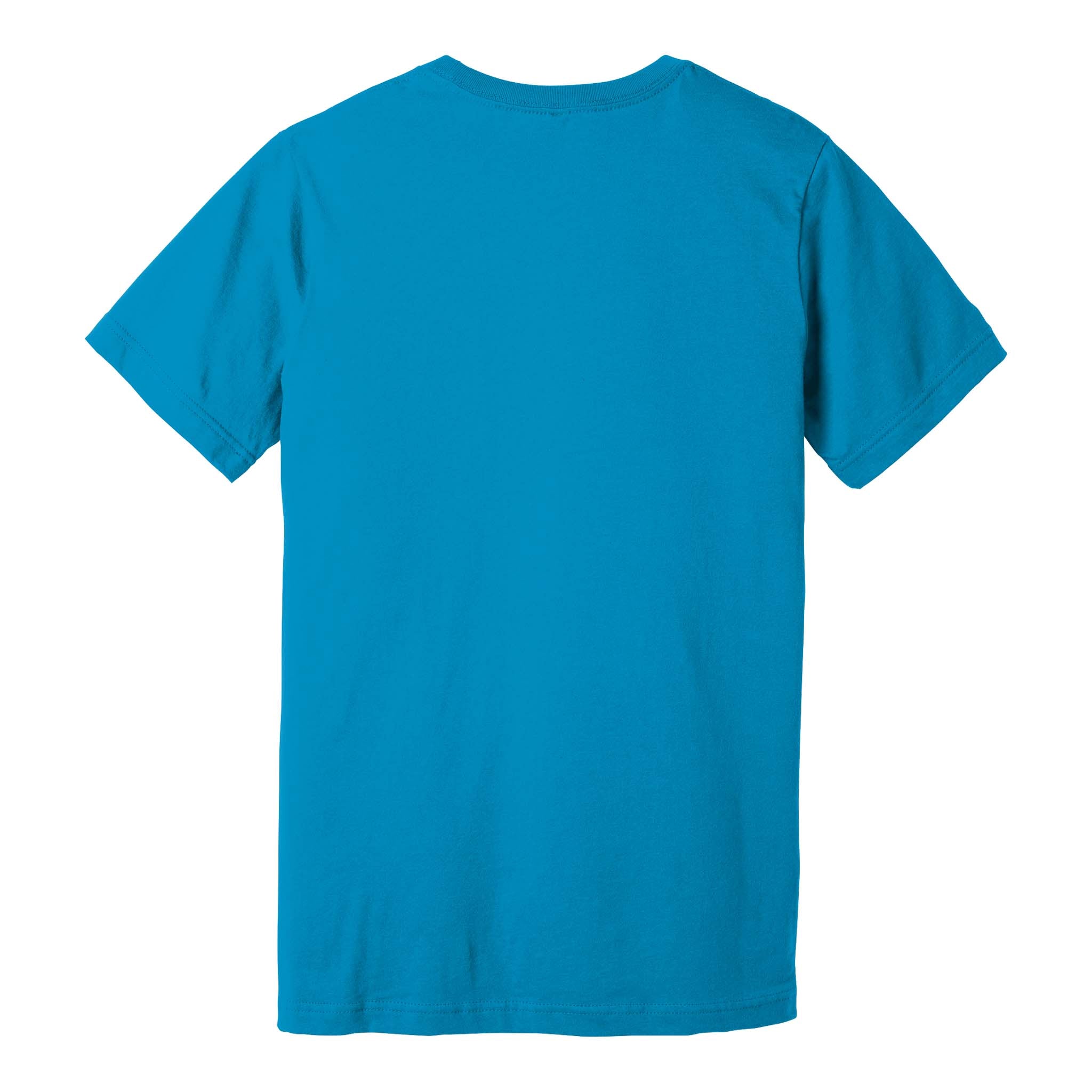 Bella + Canvas 3001 custom short sleeve t-shirt in aqua, back view