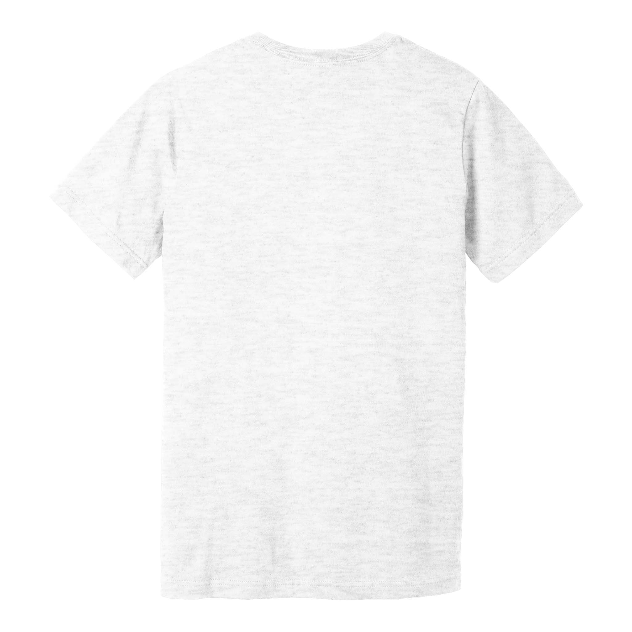 Bella + Canvas 3001 custom short sleeve t-shirt in ash, back view
