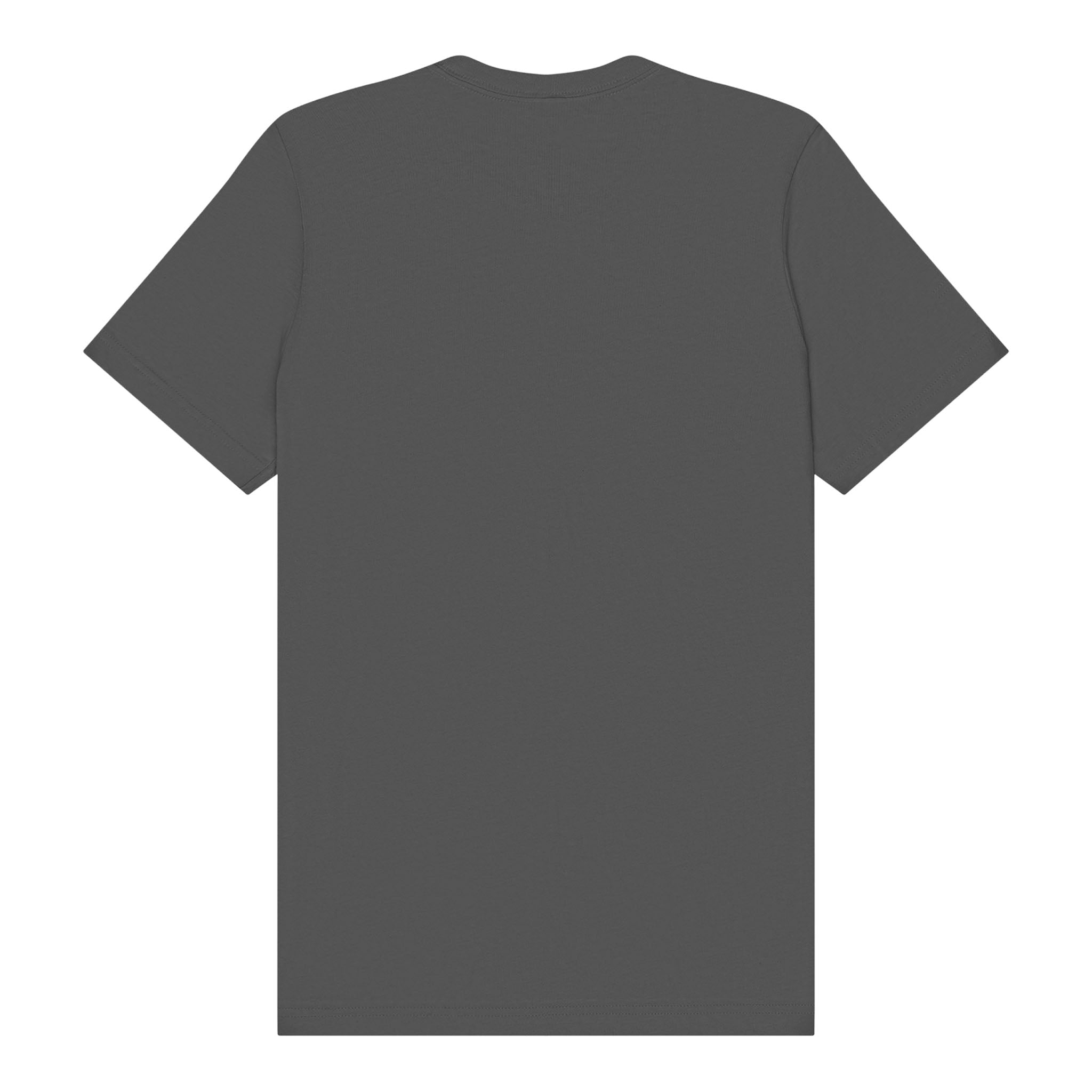 Bella + Canvas 3001 custom short sleeve t-shirt in asphalt, back view