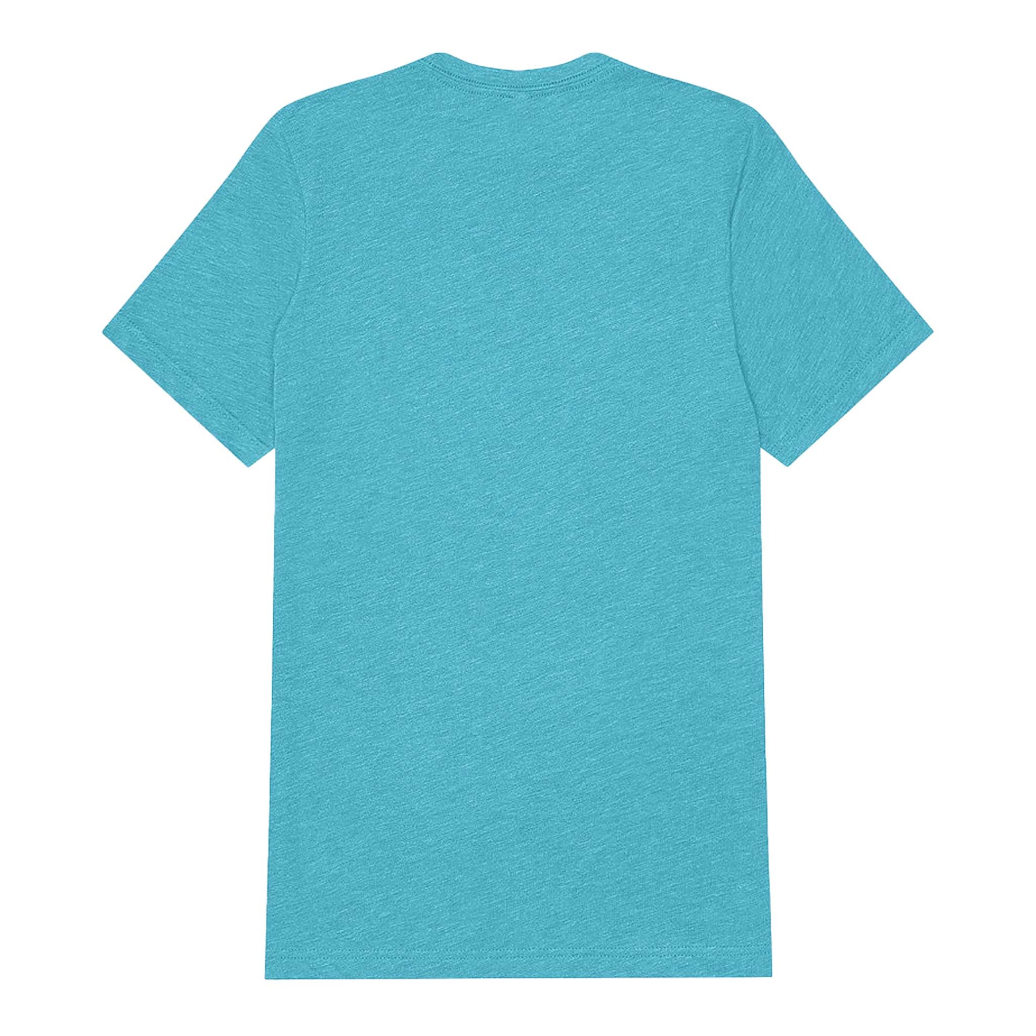 Bella + Canvas 3413 custom short sleeve t-shirt in aqua triblend, back view