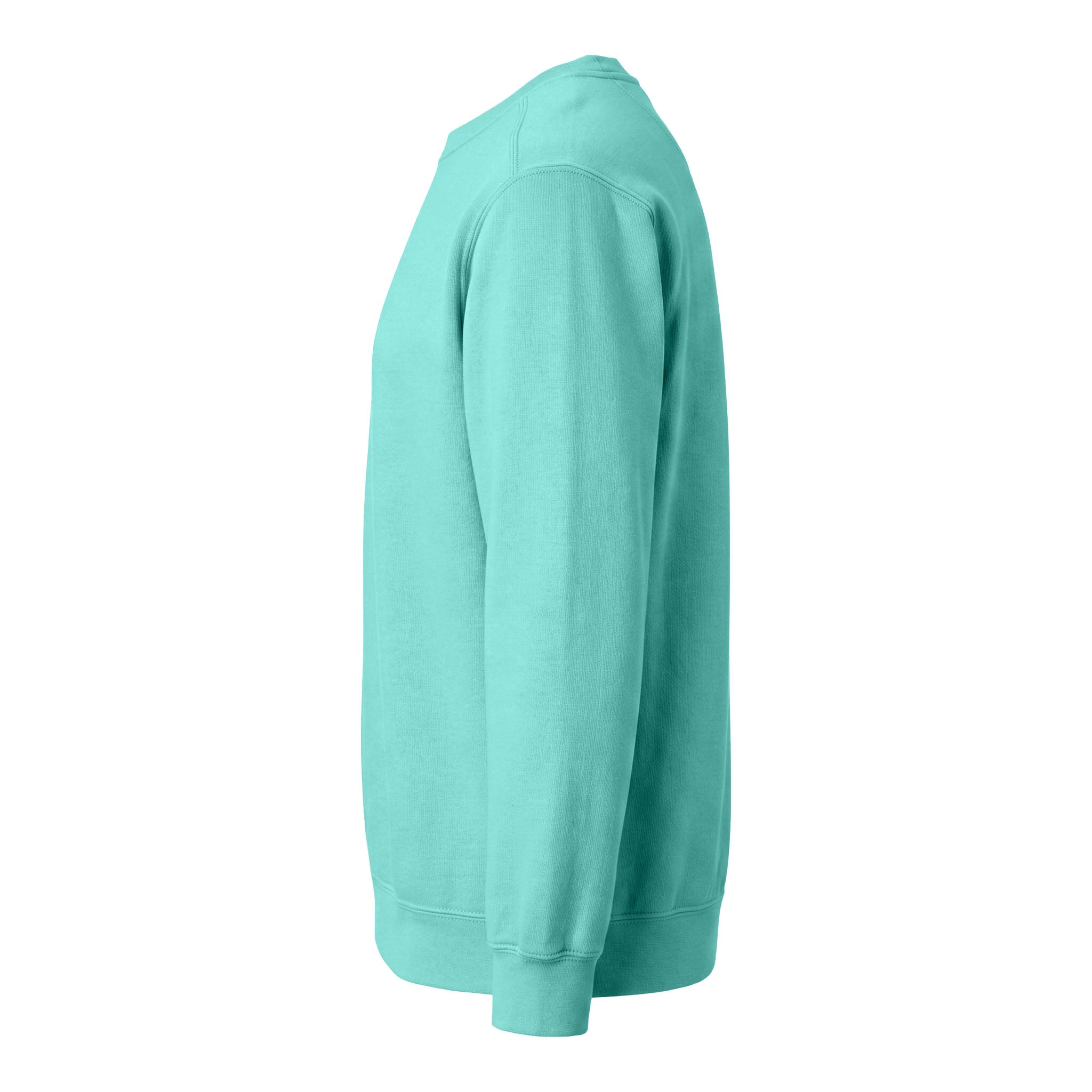 Comfort Colors 1566 custom crewneck in chalky mint, left side view