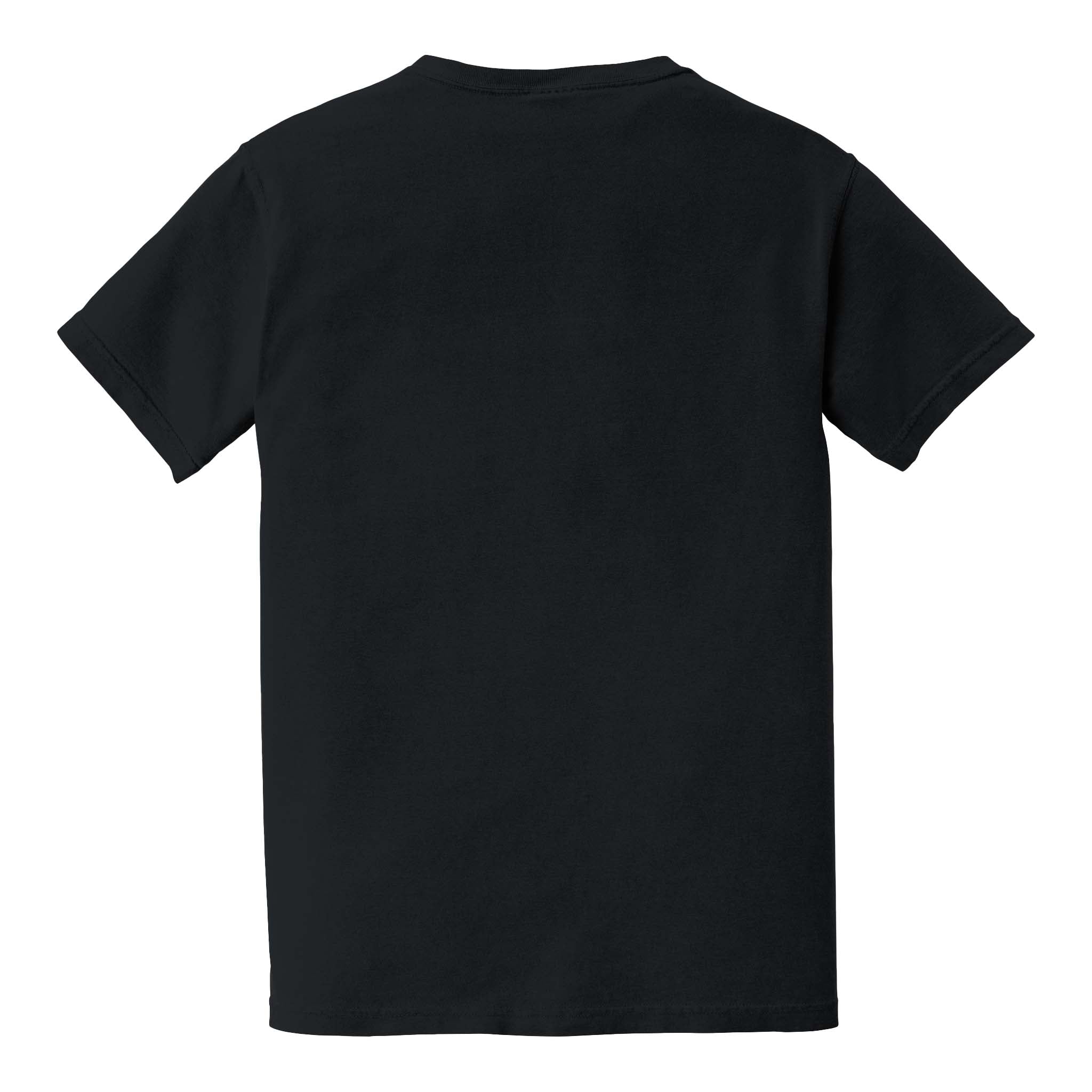 Comfort Colors 6030 custom short sleeve t-shirt in black, back view