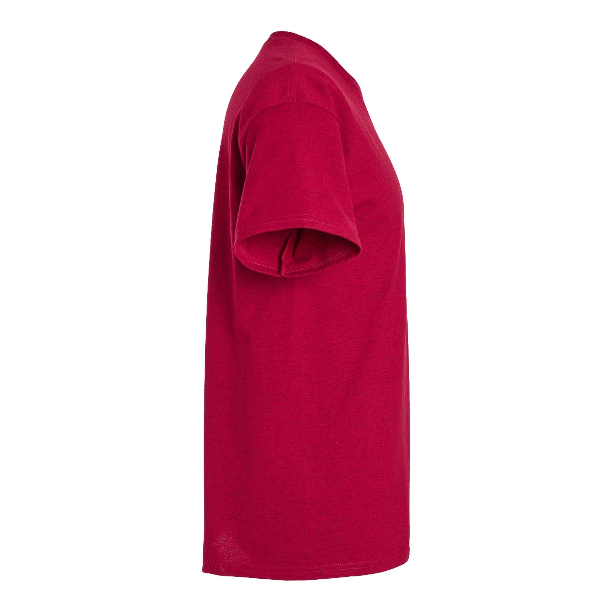 Gildan 2000 custom short sleeve t-shirt in antique cherry red, right side view