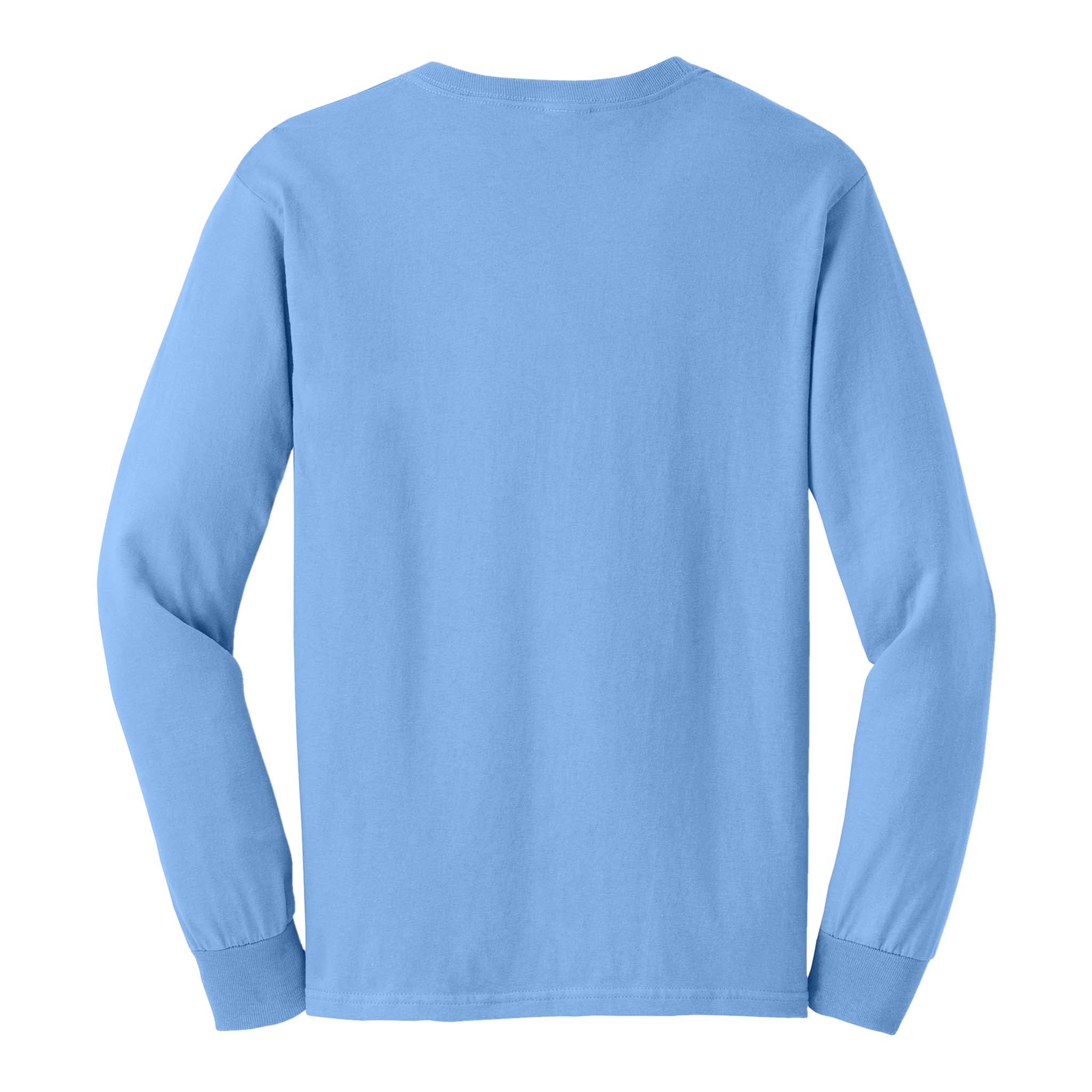 Gildan 2400 custom long sleeve t-shirt in carolina blue, back view
