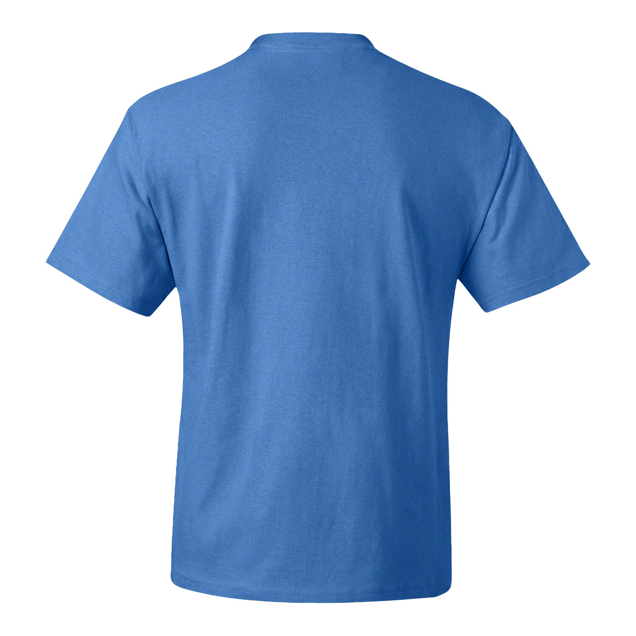 Hanes 5180 custom short sleeve t-shirt in carolina blue, back view