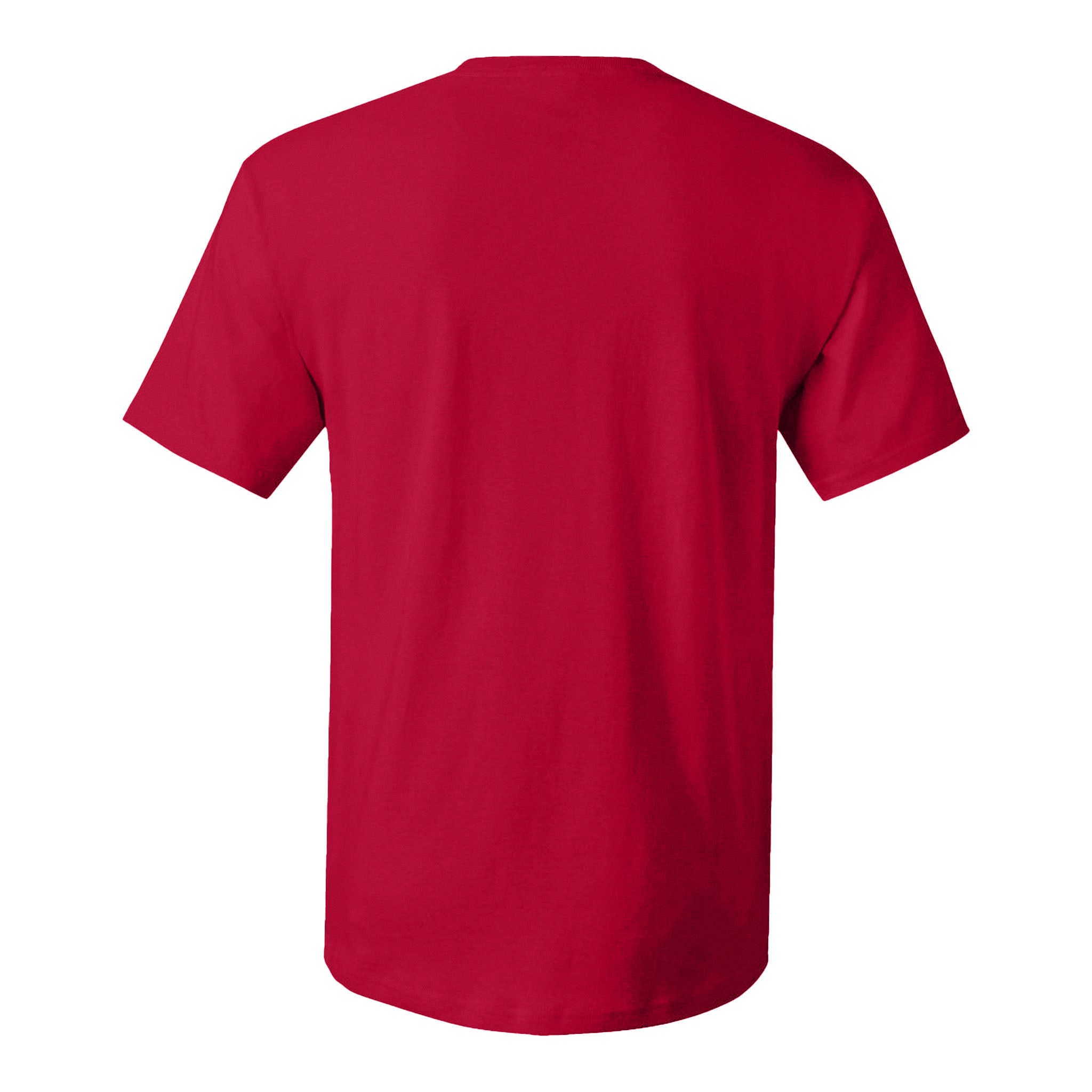 Hanes 5280 custom short sleeve t-shirt in athletic crimson, back view