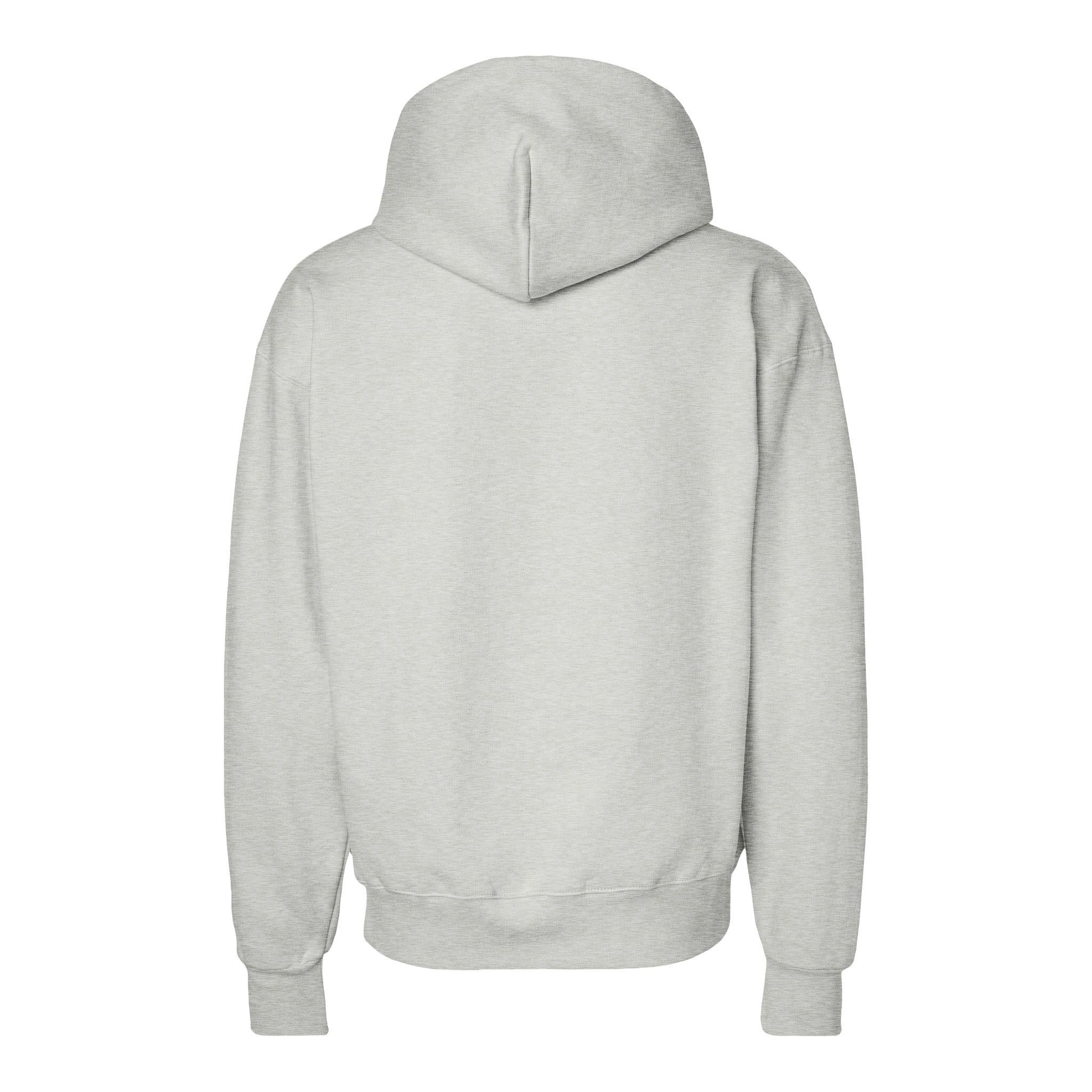 Hanes F170 custom hoodie in ash, back view