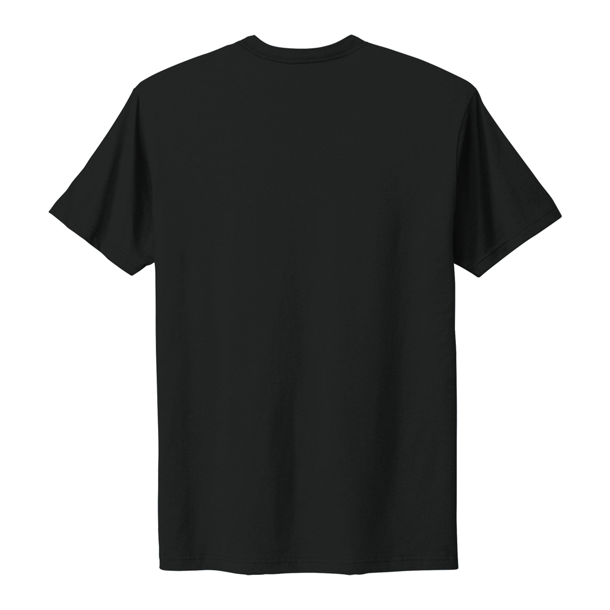 Next Level Apparel 3600 custom short sleeve t-shirt in black, back view