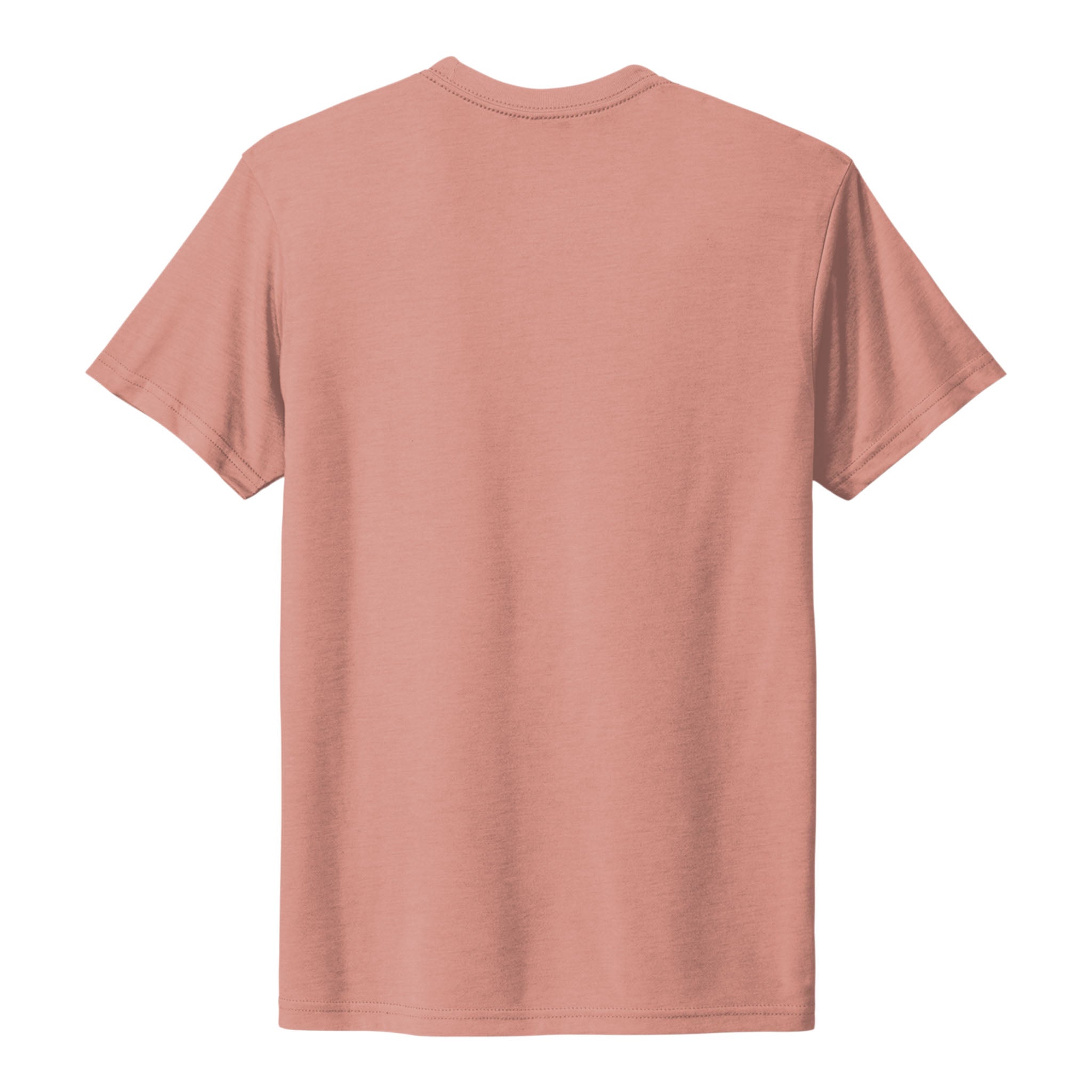 Next Level Apparel 6010 custom short sleeve t-shirt in desert pink, back view