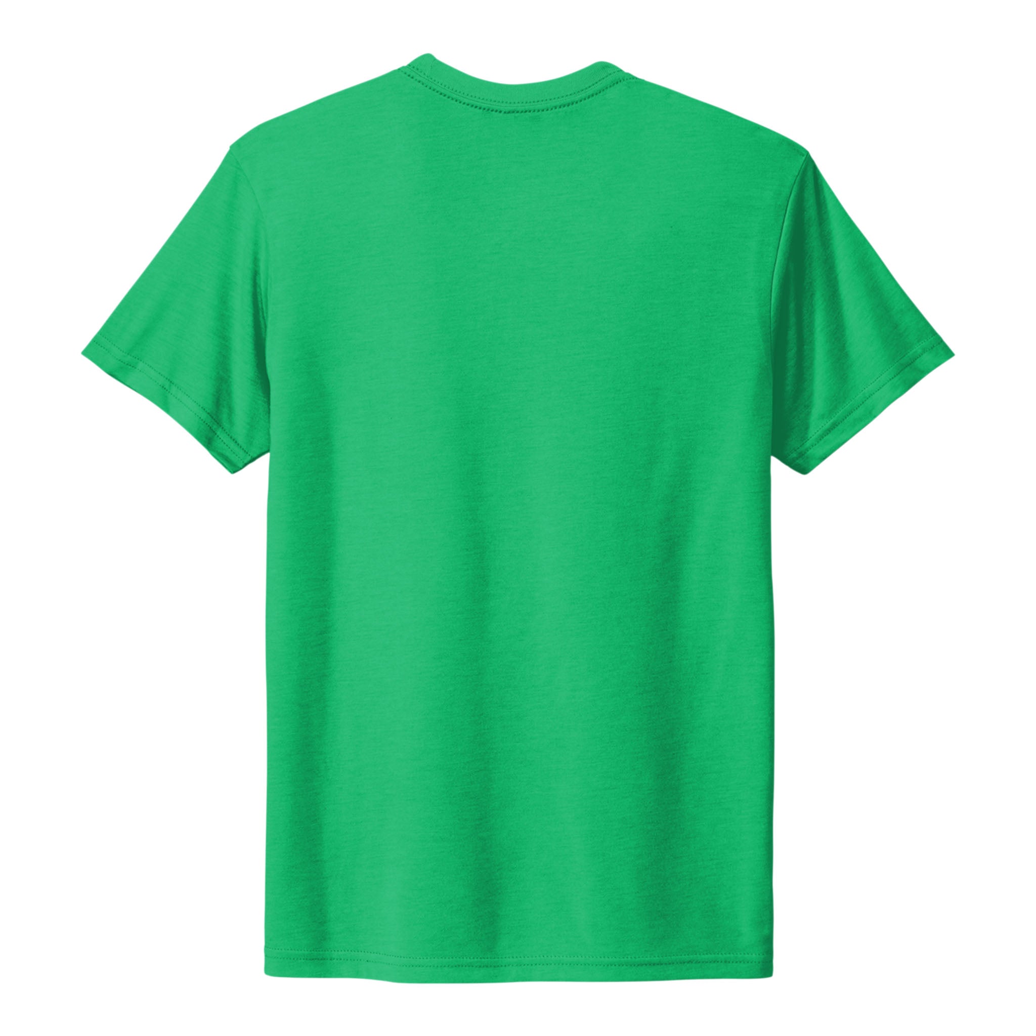 Next Level Apparel 6010 custom short sleeve t-shirt in envy, back view
