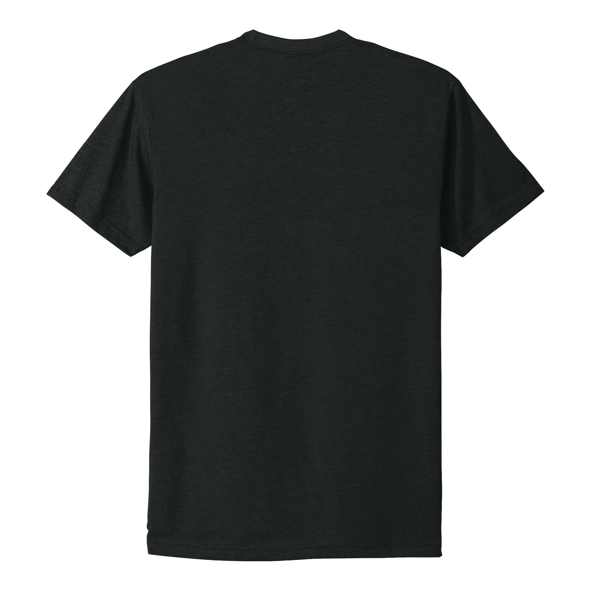 Next Level Apparel 6210 custom short sleeve t-shirt in black, back view