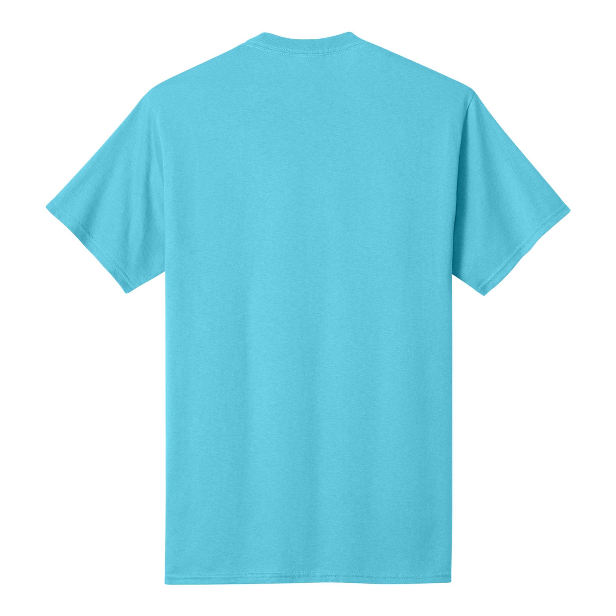 Port & Co PC54 custom short sleeve t-shirt in aquatic blue, back view