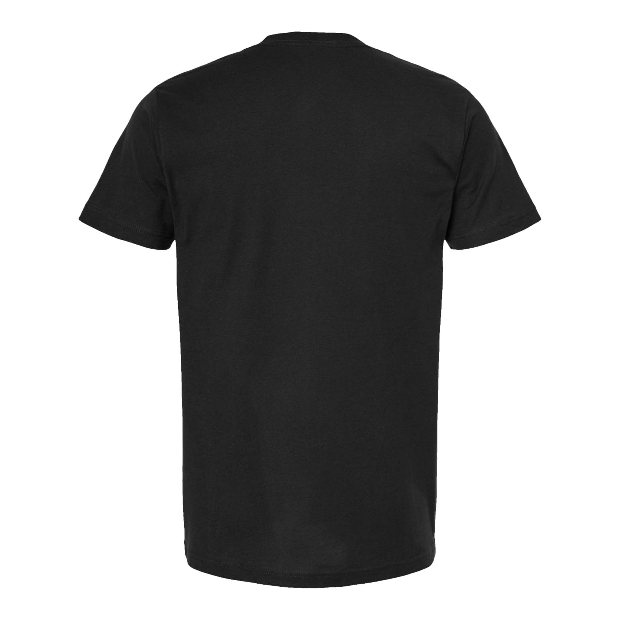Tultex 202 custom short sleeve t-shirt in black, back view