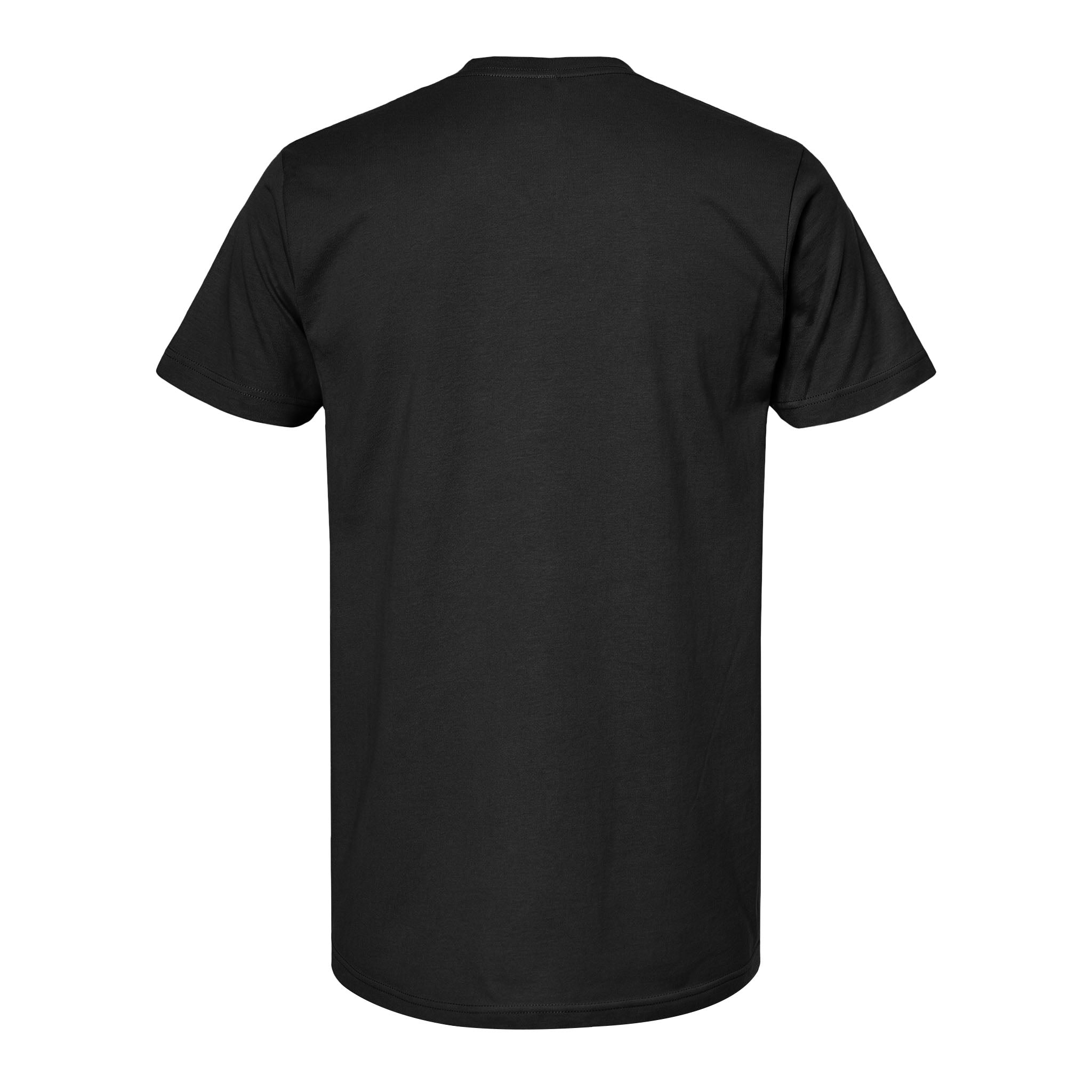 Tultex 202 custom short sleeve t-shirt in black, back view