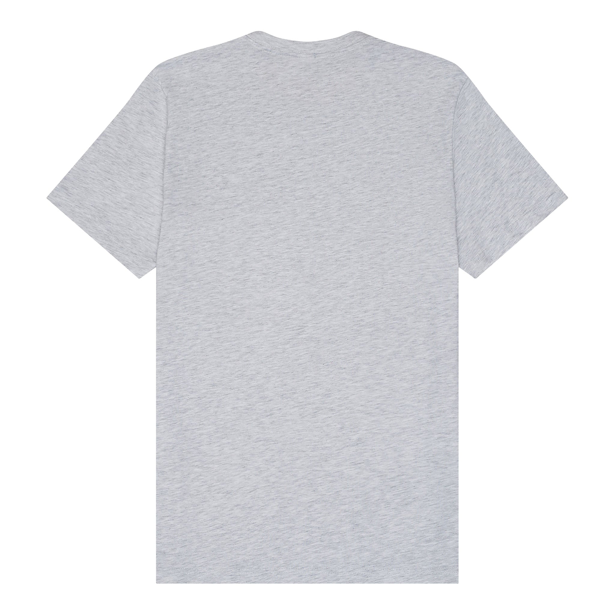Bella + Canvas 3001 custom short sleeve t-shirt in ash, back view