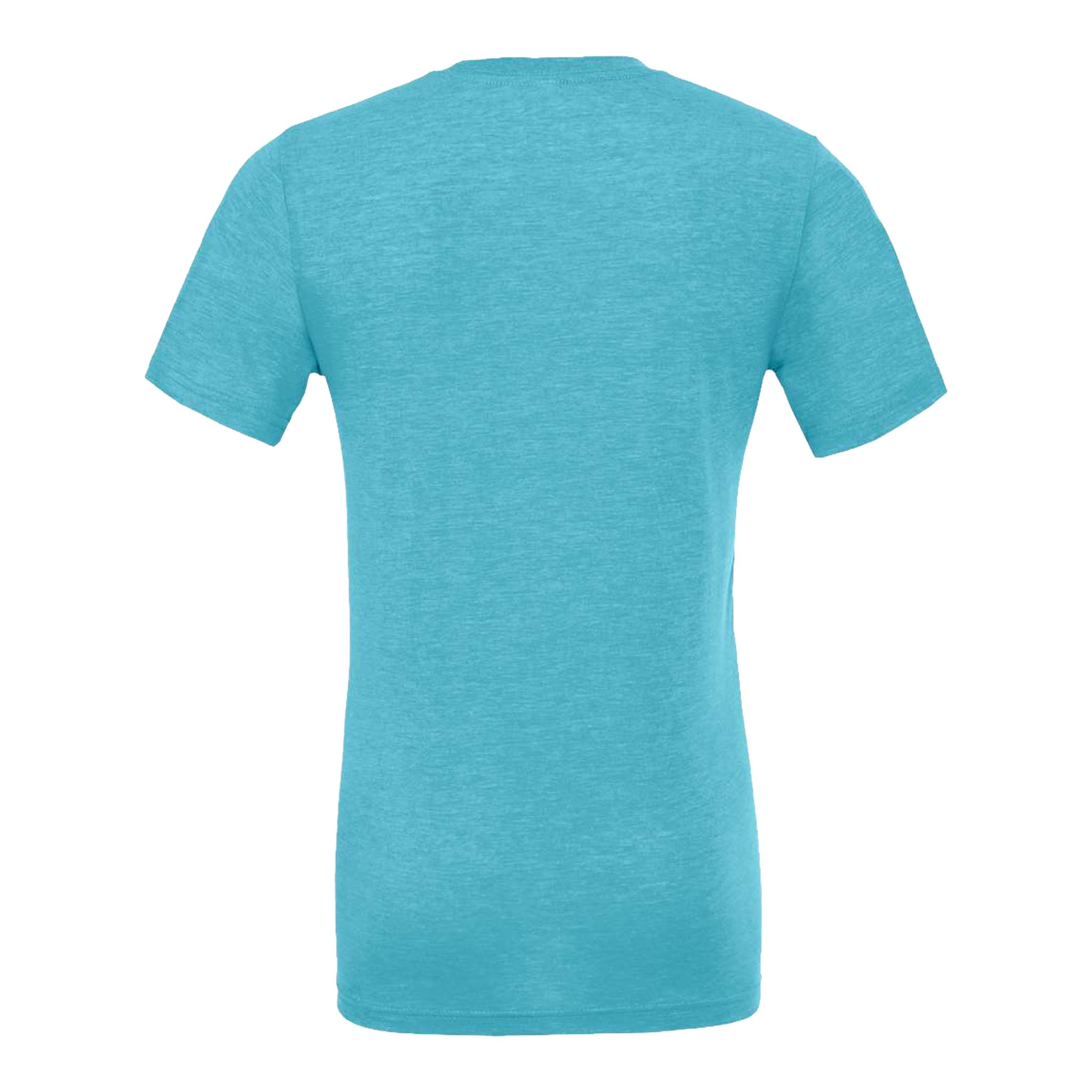 Bella + Canvas 3413 custom short sleeve t-shirt in aqua triblend, back view