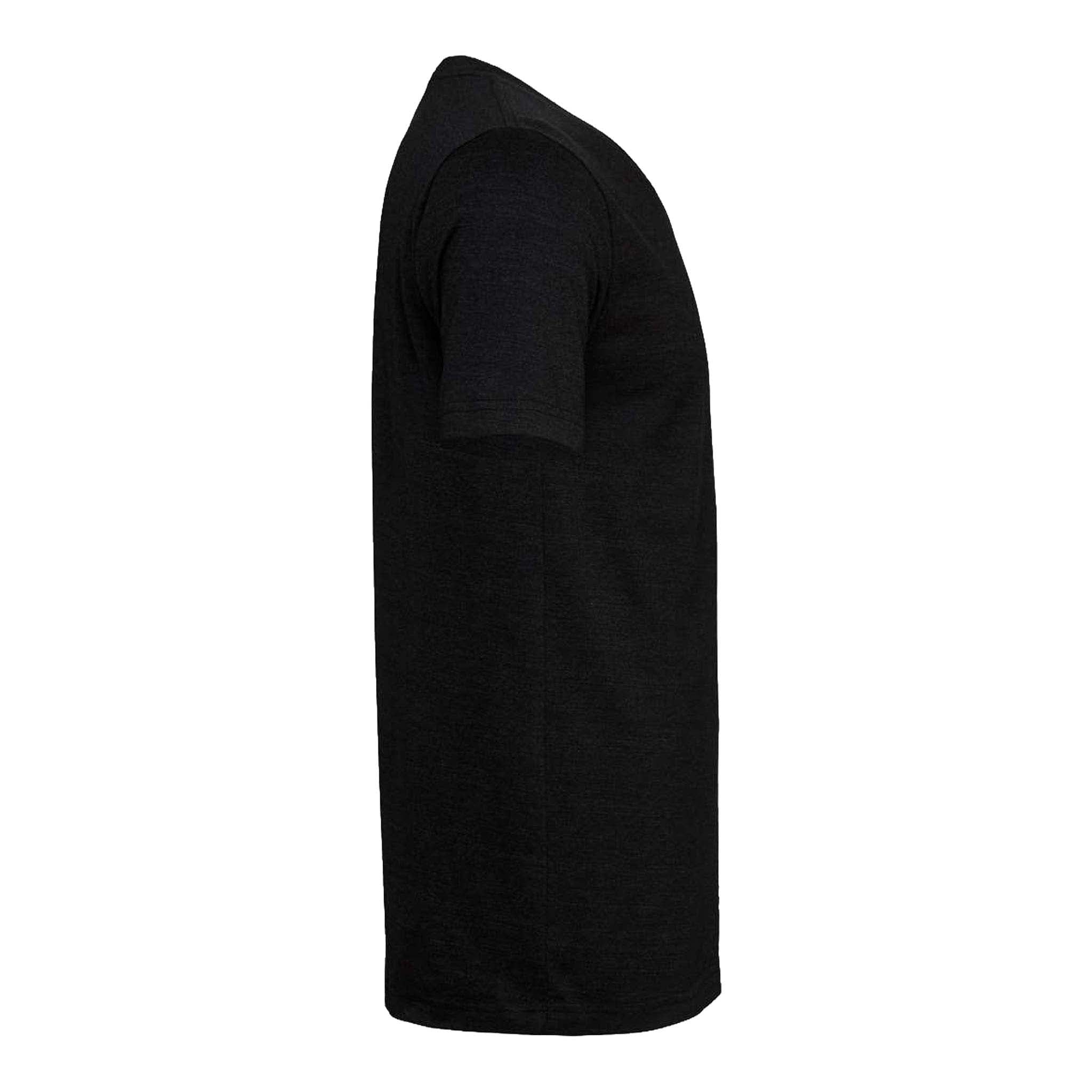 Bella + Canvas 3413 custom short sleeve t-shirt in black heather triblend, right side view