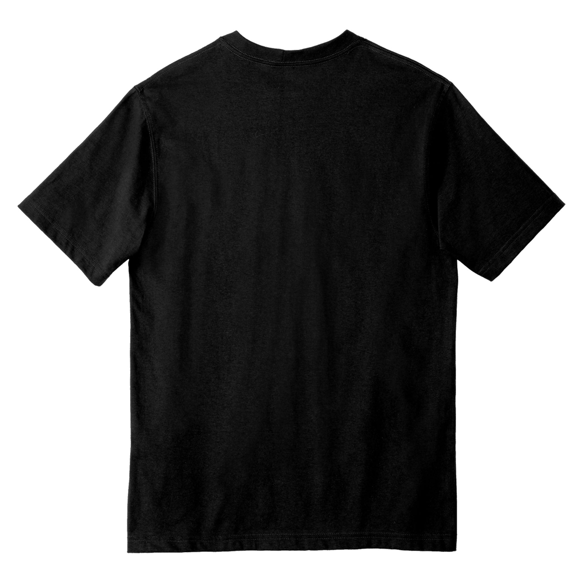 Carhartt CTK87 custom short sleeve t-shirt in black, back view