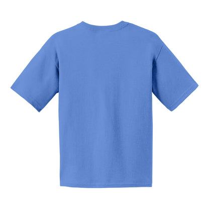 Gildan 2000B custom short sleeve t-shirt in carolina blue, back view