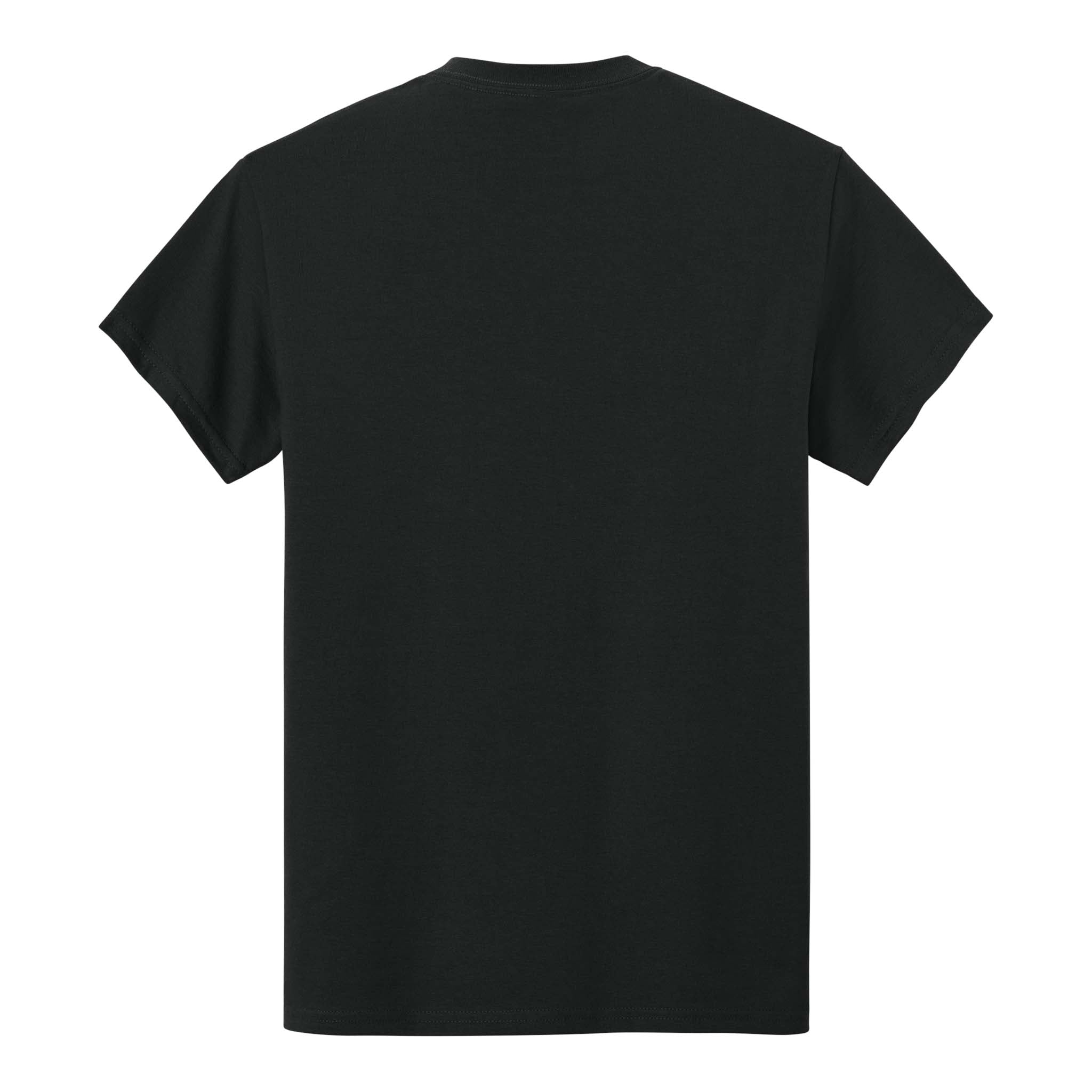Gildan 2300 custom short sleeve t-shirt in black, back view