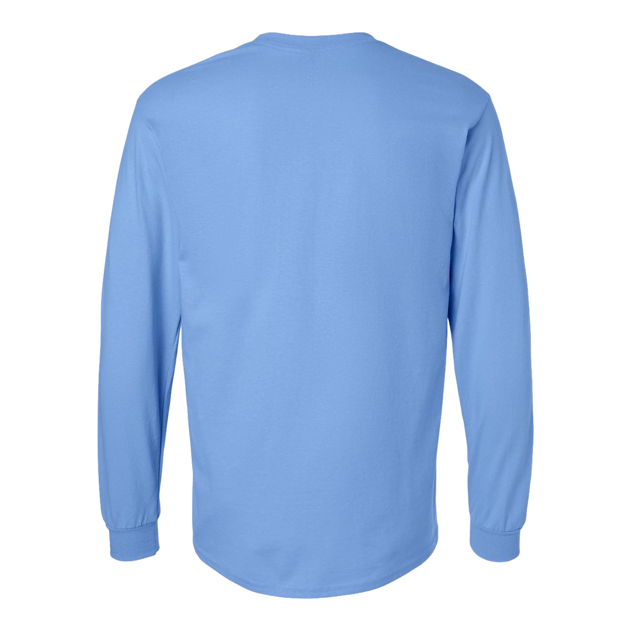Gildan 2400 custom long sleeve t-shirt in carolina blue, back view
