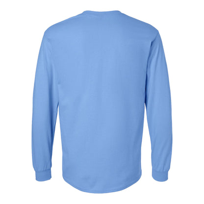 Gildan 2400 custom long sleeve t-shirt in carolina blue, back view