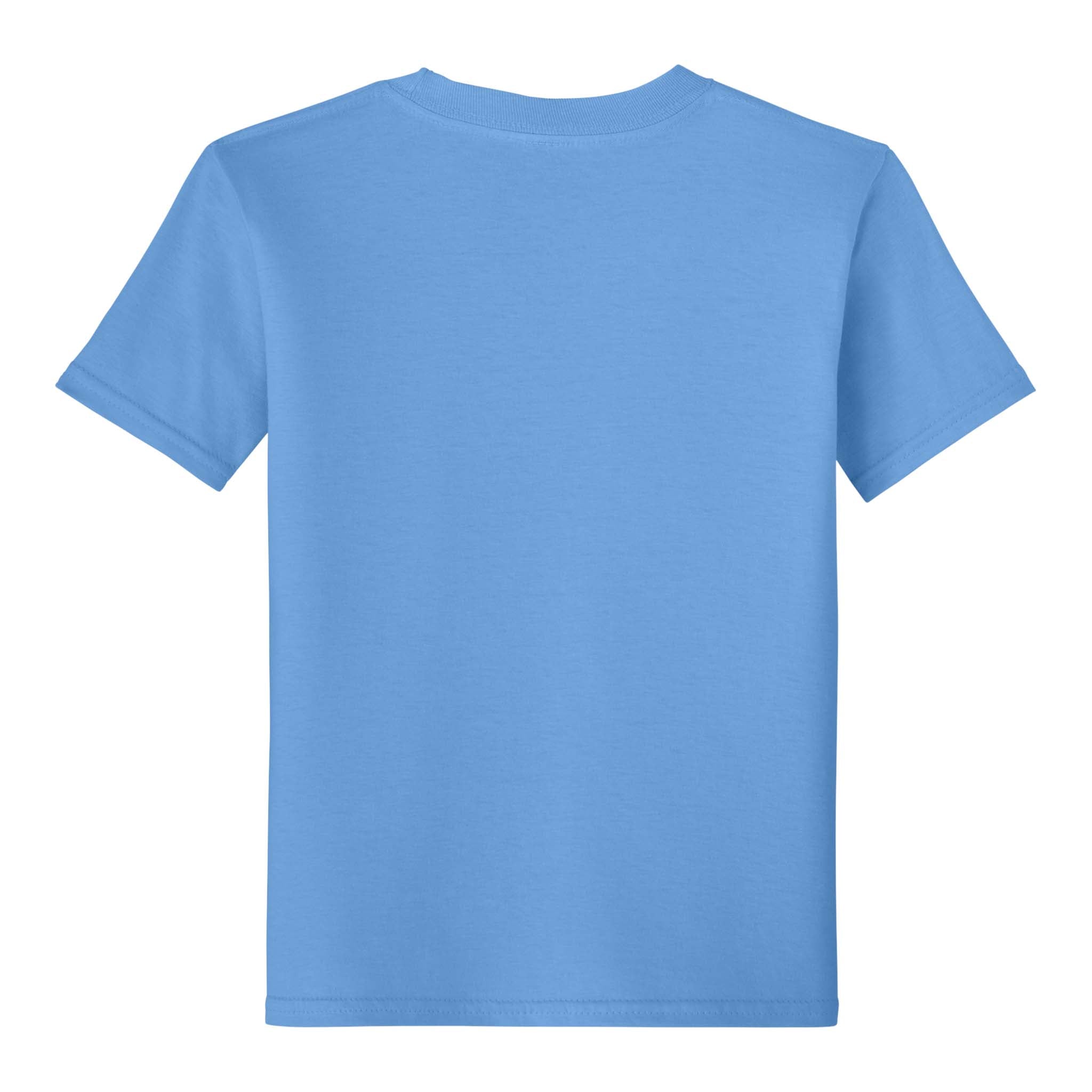 Gildan 64000B custom short sleeve t-shirt in carolina blue, back view