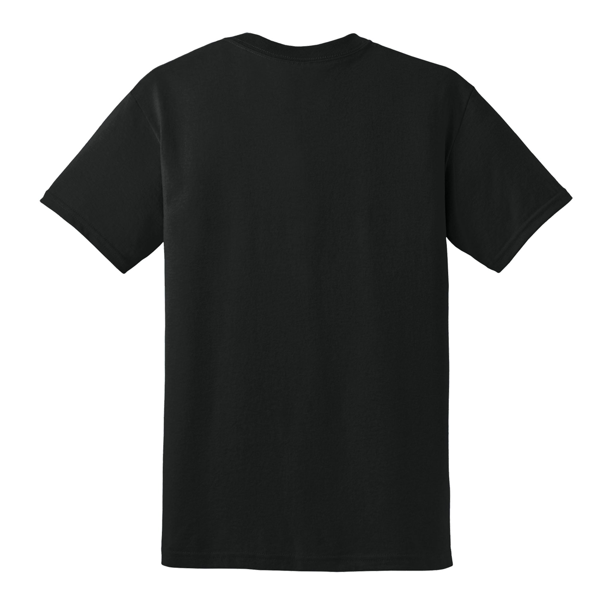 Gildan 8000 custom short sleeve t-shirt in black, back view