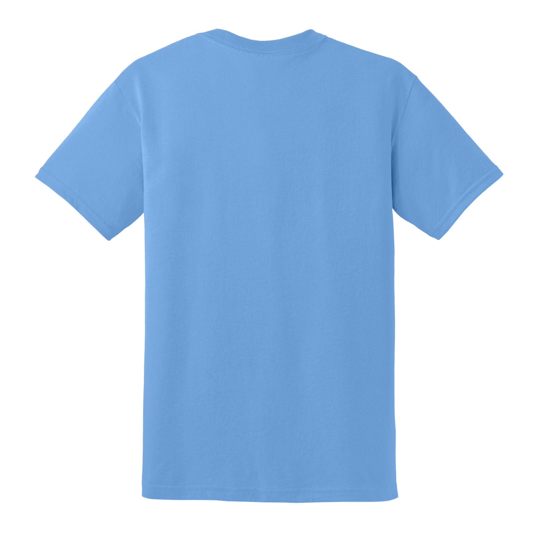 Gildan 8000 custom short sleeve t-shirt in carolina blue, back view