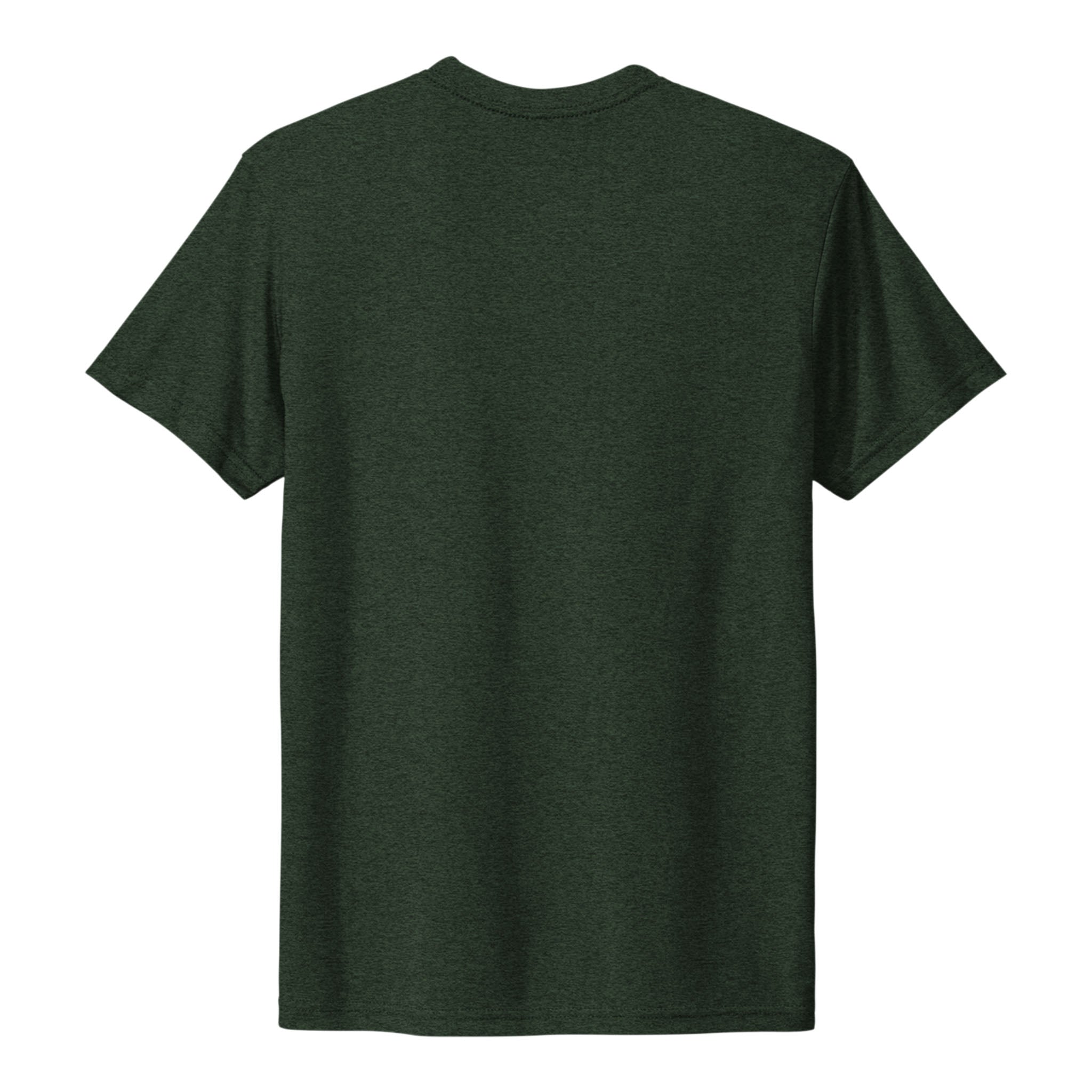 Next Level Apparel 6010 custom short sleeve t-shirt in black forest, back view