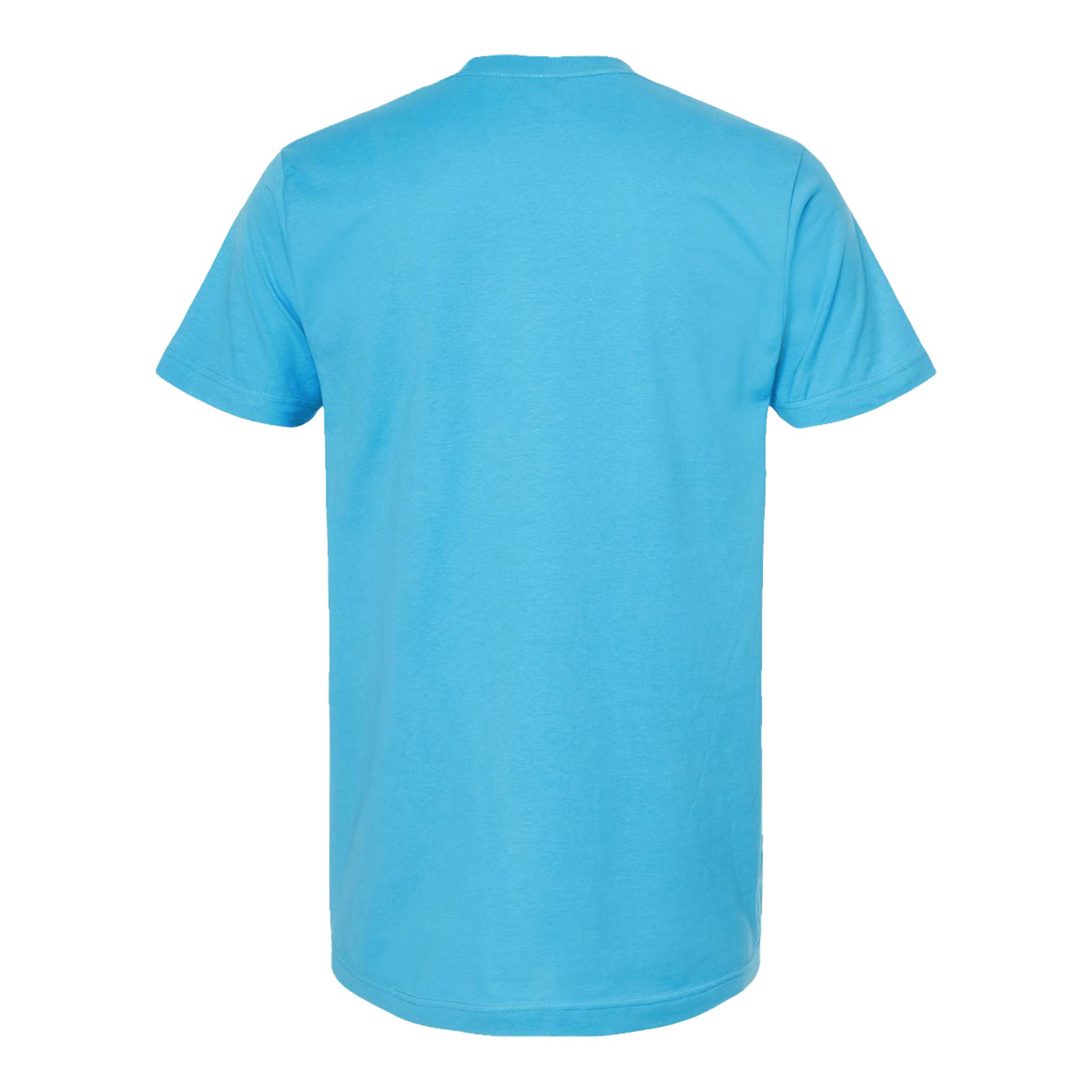 Tultex 202 custom short sleeve t-shirt in aqua, back view