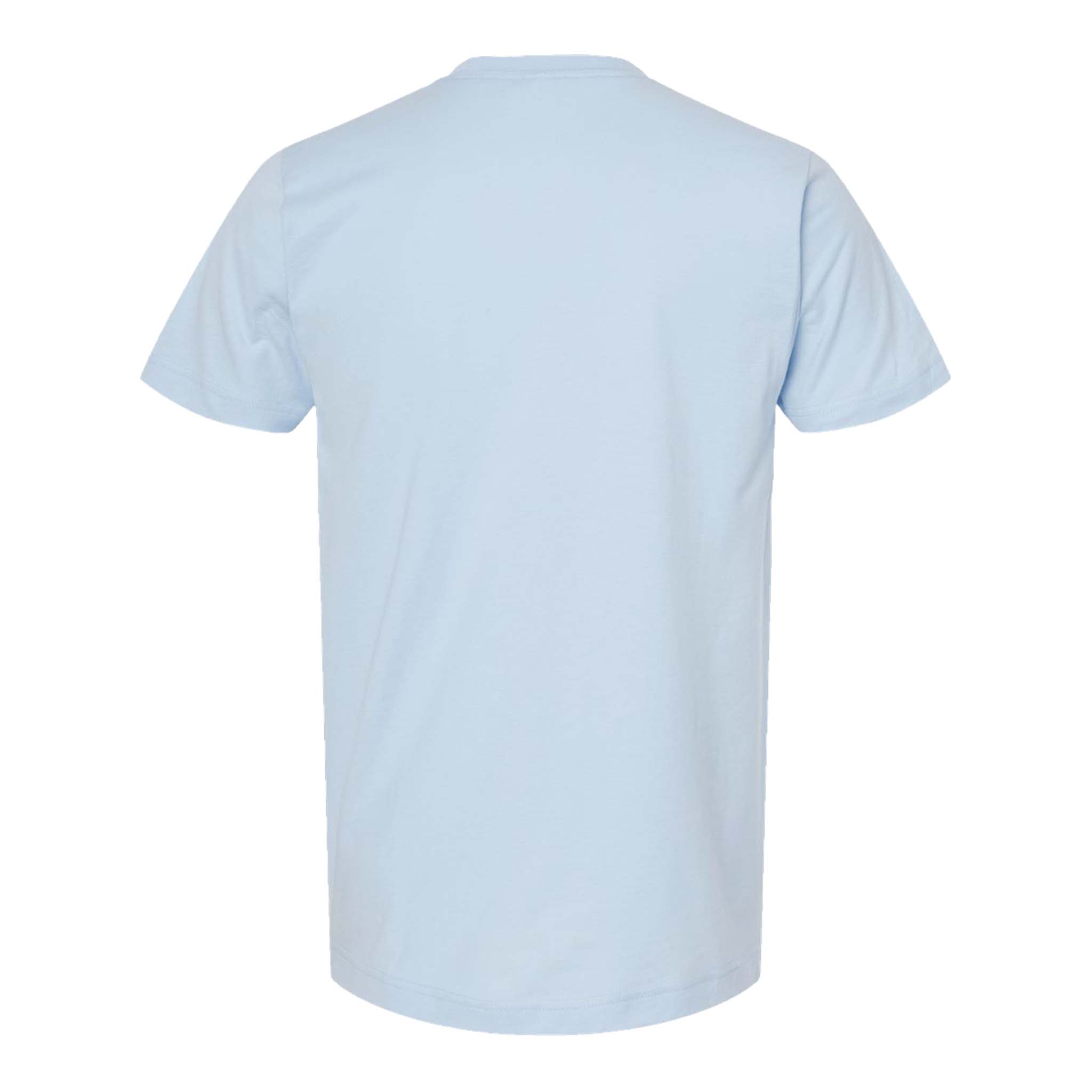 Tultex 202 custom short sleeve t-shirt in baby blue, back view