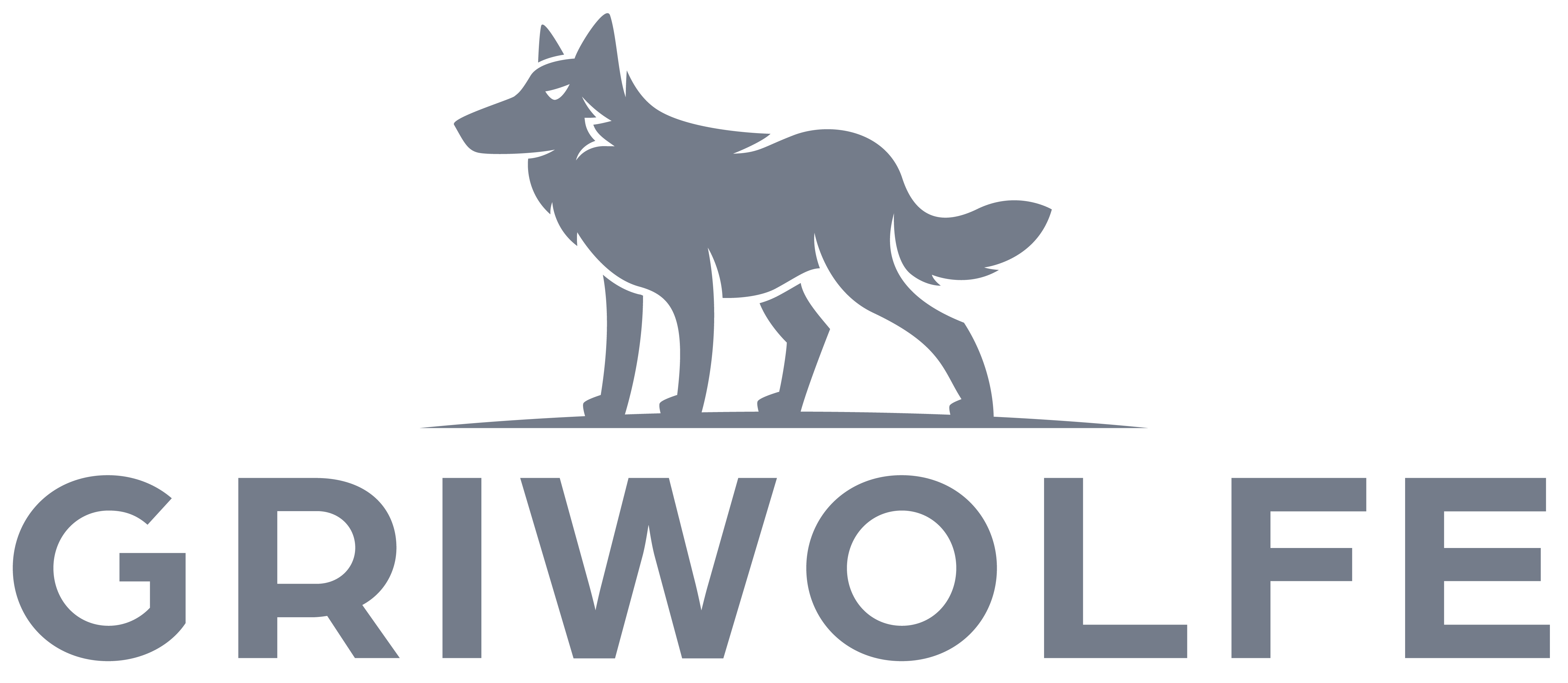 Custom Hats - Shop Online – Griwolfe
